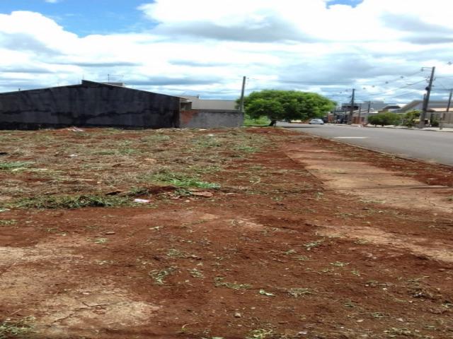 #137 - Terreno para Venda em Arapongas - PR