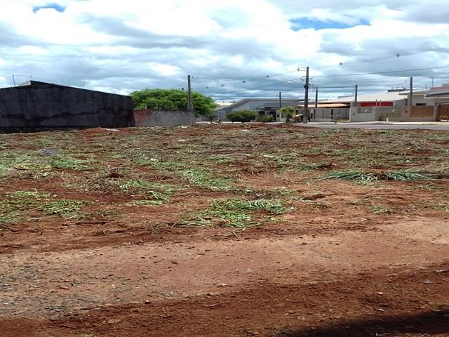 #137 - Terreno para Venda em Arapongas - PR