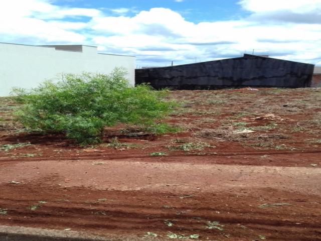 #137 - Terreno para Venda em Arapongas - PR