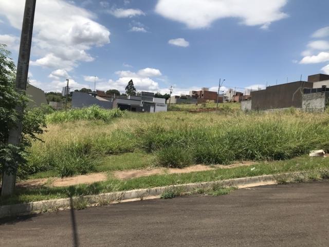 Terreno para Venda em Arapongas - 2