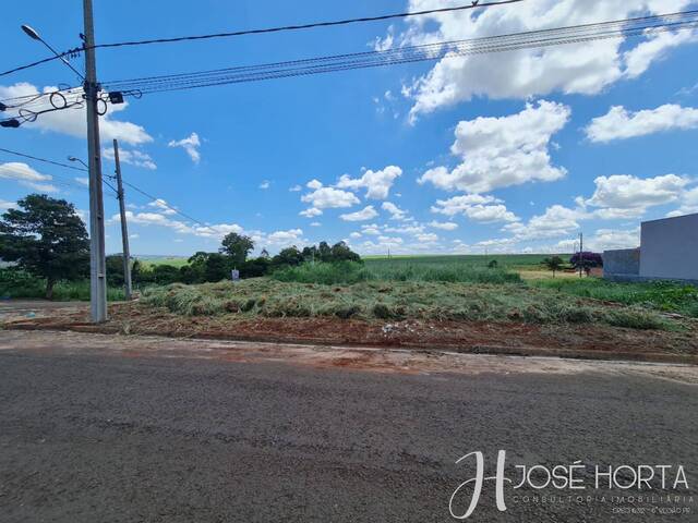 Área para Venda em Arapongas - 4