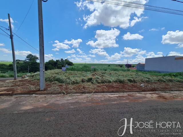 Área para Venda em Arapongas - 5