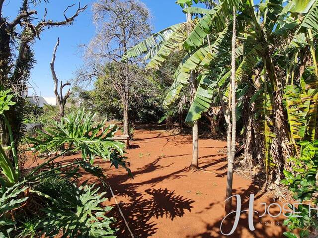 Terreno para Venda em Arapongas - 5
