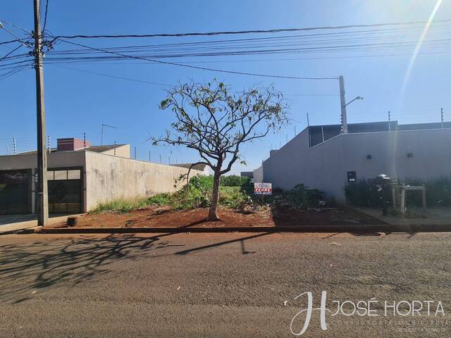 Terreno para Venda em Arapongas - 5