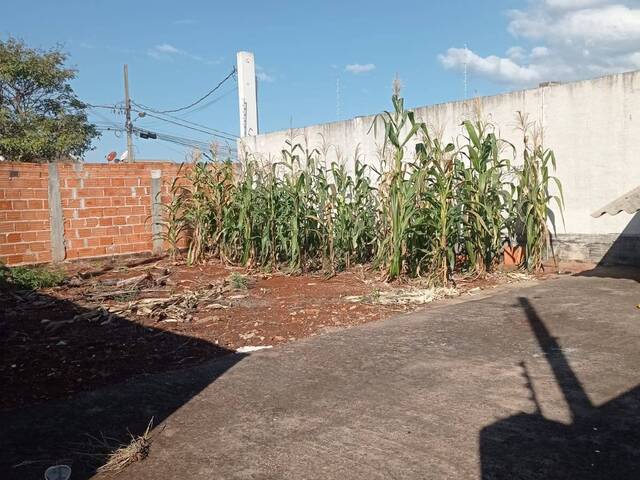 Área para Venda em Arapongas - 4