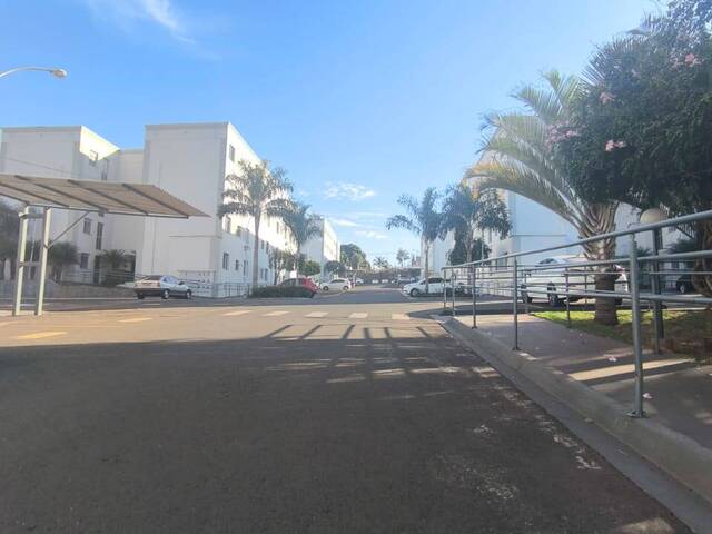 #979 - Apartamento para Venda em Arapongas - PR