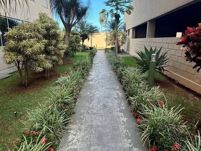 Apartamento para Venda em Arapongas - 5
