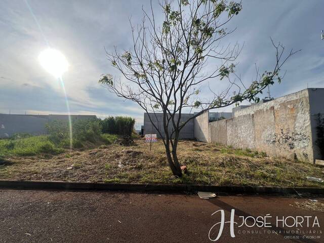 #1233 - Terreno para Venda em Arapongas - PR