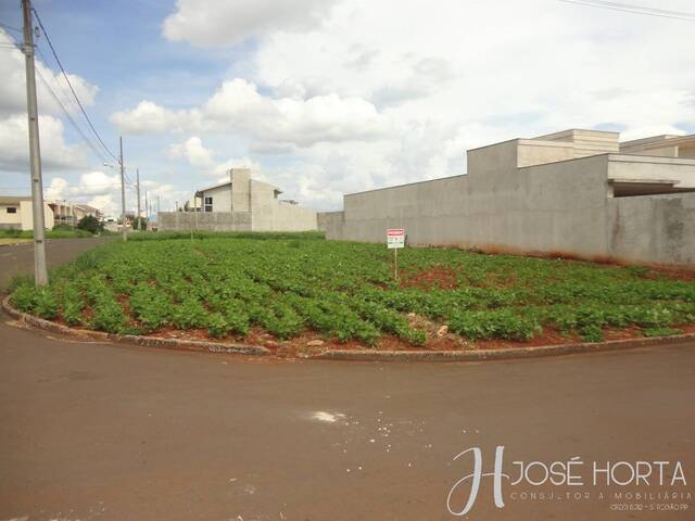 #1251 - Terreno para Venda em Arapongas - PR