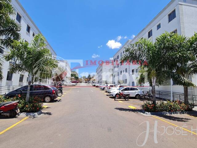 Apartamento para Venda em Arapongas - 3