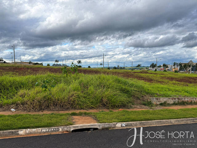 Terreno para Venda em Arapongas - 2